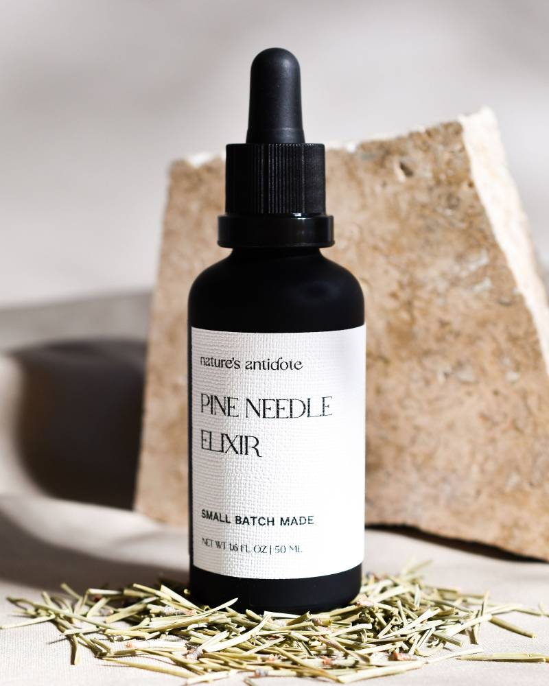Pine Needle Elixir - Östliche Weiße Kiefer & Moringaöl Infusion von Etsy - naturesantidoteau