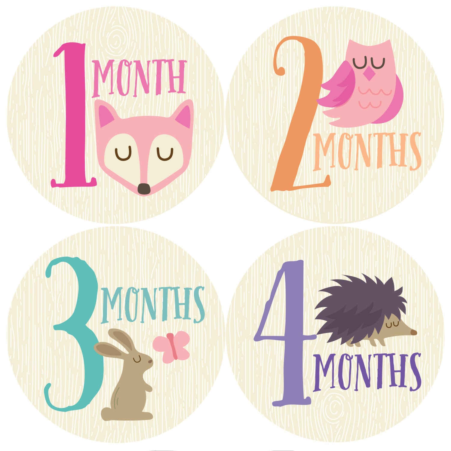 Geschenkangebot, Monat Für Baby Sticker Mädchen, Sticker, Waldland, Meilenstein Geschenk, Mädchen Geschenkangebot, Monat Für Baby Sticker Mädchen, Sticker, Waldland, Meilenstein Geschenk, Mädchen von Etsy - pennyandprince