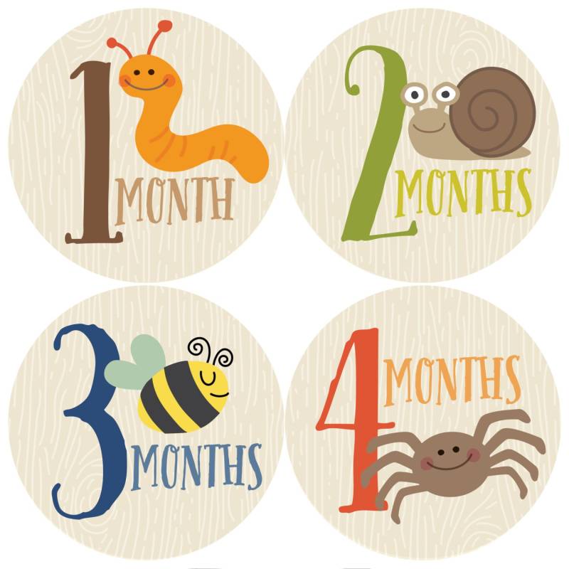 Geschenkangebot, Monatlicher Babyaufkleber Junge, Baby-Monataufkleber, Meilensteinaufkleber, Monat Für Babyaufkleber, Babygeschenk, Babyjunge Geschenkangebot, Monatlicher Babyaufkleber Junge, Baby-Monataufkleber, Meilensteinaufkleber, Monat Für Babyaufkleber, Babygeschenk, Babyjunge von Etsy - pennyandprince
