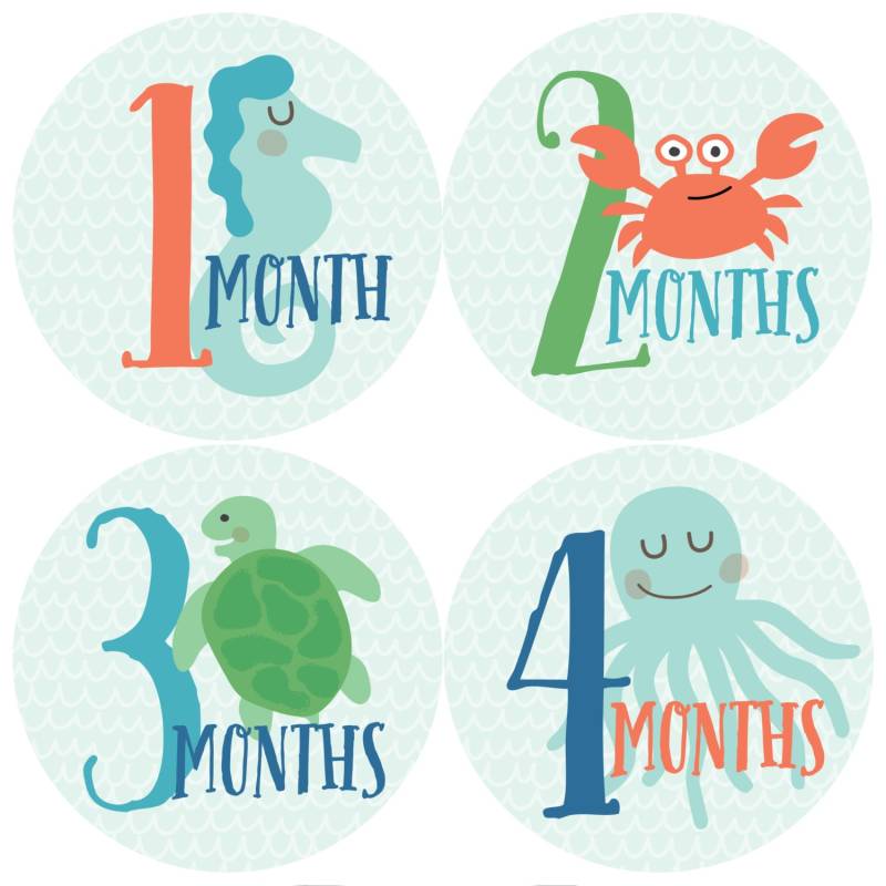 Geschenkangebot Monatliche Babyaufkleber Ocean Aufkleber Meer Meeresbewohner Von Monat Zu Baby-Geschenk, Baby Boy Geschenkangebot Monatliche Babyaufkleber Ocean Aufkleber Meer Meeresbewohner Von Monat Zu Baby-Geschenk, Baby Boy von Etsy - pennyandprince
