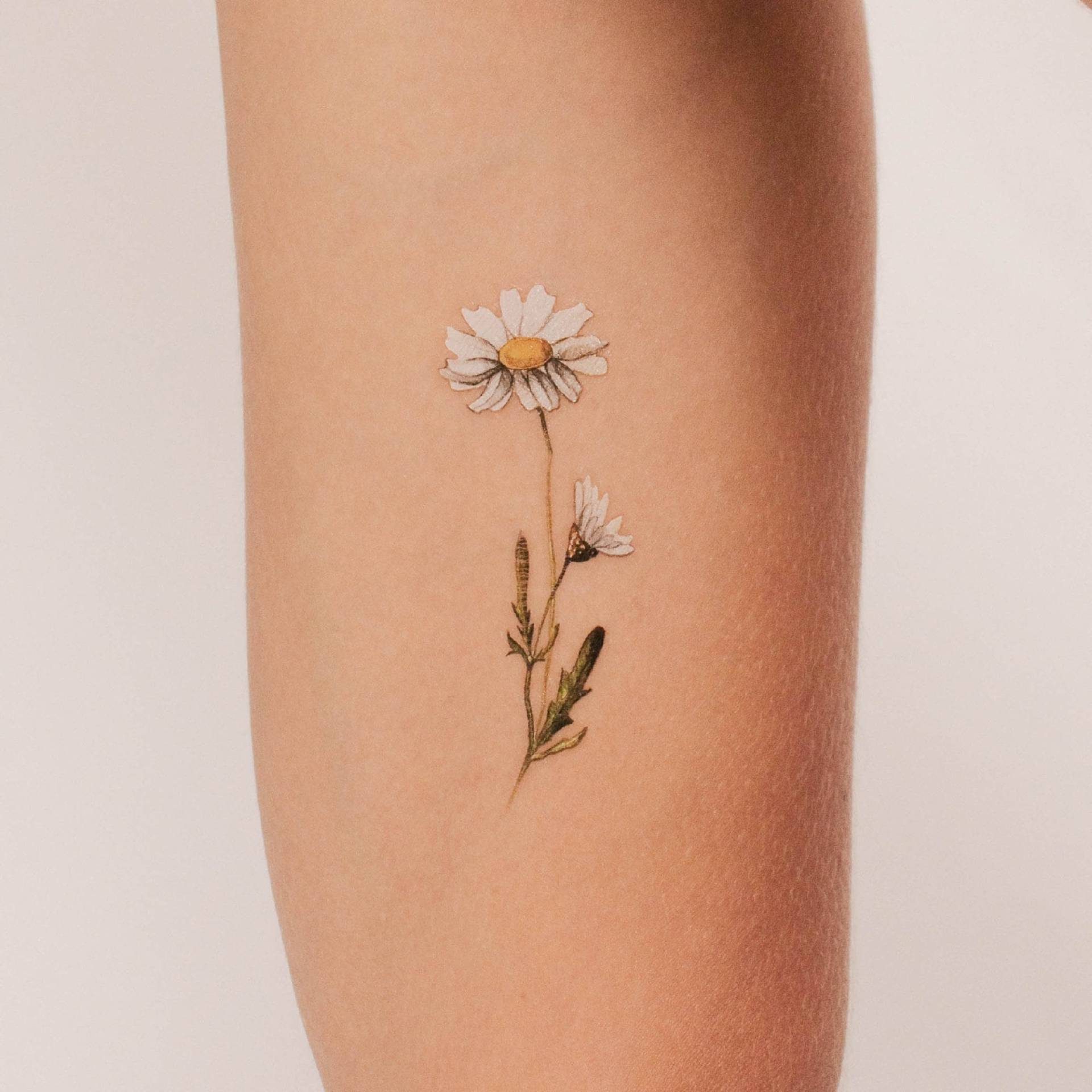 Gänseblümchen Temporäres Tattoo Von Lena Fedchenko | 3Er Set von Etsy - smalltattoos