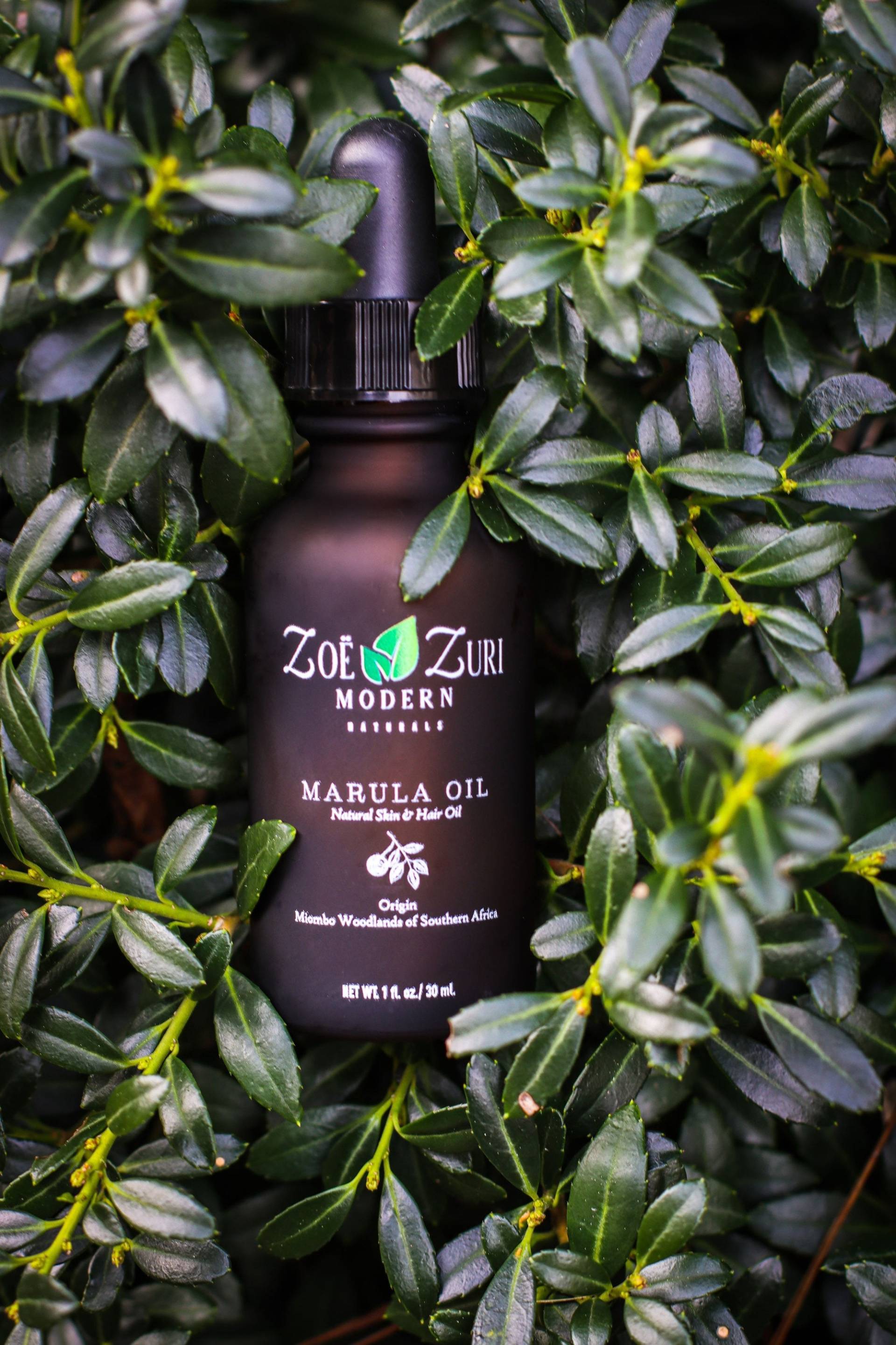 Bio Marulaöl Kaltgepresstes, Veganes Haut - & Haarpflege | 1 Fl Oz von Etsy - zoeandzuri