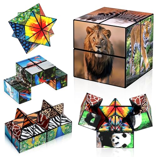 Sternenwürfel Zauberwürfel Set, Unendlichkeitswürfel Zappelspielzeug für Kinder, Tierspielzeug für 3 Jahre, Reise Yoshimoto Würfel für 6 7 8 9 10 11 Jahre Alten Jungen Mädchen Geschenke von Euclidean Cube