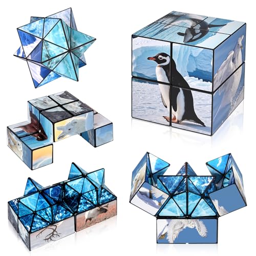 Sternenwürfel Unendlichkeitswürfel Zappelphilipp für Kinder, Yoshimoto-Würfel für Kinder von 3+ Jahren, Arktische/Antarktische Tiere Würfelspaß Spielzeug für Jungen Mädchen (Polar Serie) von Euclidean Cube