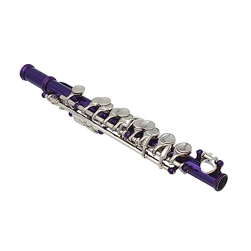 Eujgoov 16 Loch Piccolo, Quadratauslass, Edelstahlfedern, Gold/Silber Optional, Anfängerinstrument mit Zubehör für die Leistung und (Purple) von Eujgoov