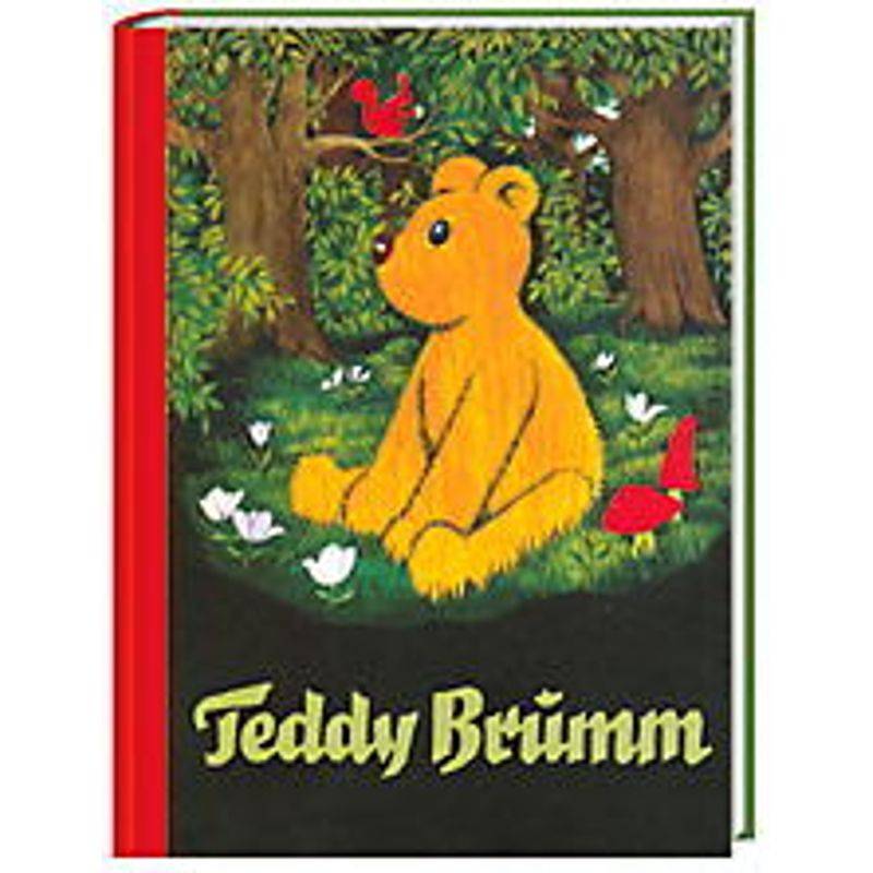 Eulenspiegel Kinderbuch / Teddy Brumm von Eulenspiegel