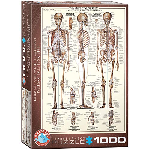 Eurographics 1000 Teile - Das Skelett von EuroGraphics