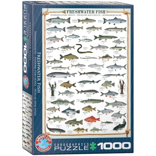 Eurographics 1000 Teile - Süßwasserfische, 68x48cm von EuroGraphics