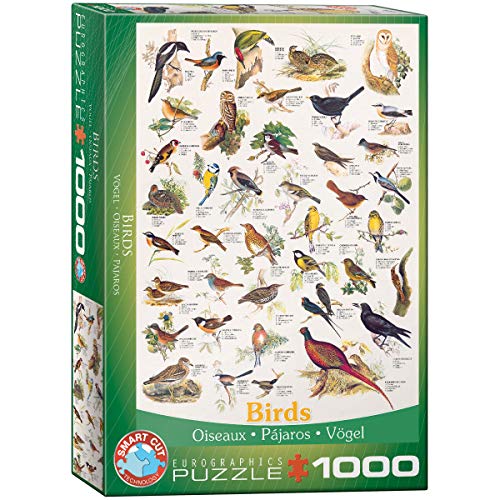 EuroGraphics EG60001259 Puzzle Vögel von EuroGraphics