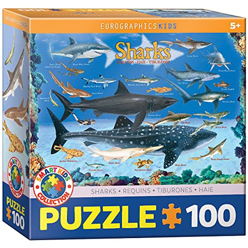 Eurographics 6100-0079 Sharks 100-Piece Tiere Puzzle, 0, Einheitsgröße von EuroGraphics