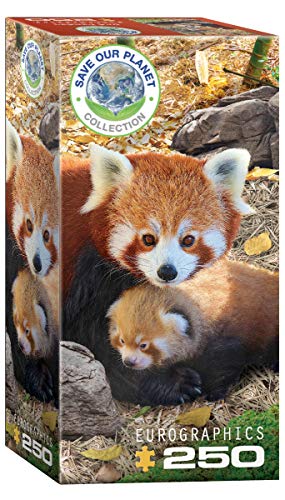 Eurographics 8251-5557 Red Pandas 250-Piece Panda, bunt, 250 Piece Puzzle Eurographics 8251-5557 Red Pandas 250-Piece Panda, bunt, 250 Piece Puzzle von EuroGraphics
