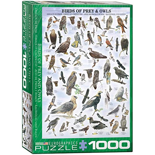 Eurographics Raubvögel und Eulen - 1000 Teile Puzzle Eurographics Raubvögel und Eulen - 1000 Teile Puzzle von EuroGraphics