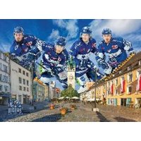 Straubing Tigers Straubing Tigers von Eurographics