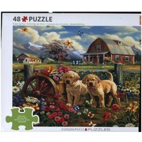CP48 - Puppy Spring by Shawna Steward CP48 - Puppy Spring by Shawna Steward von Eurographics