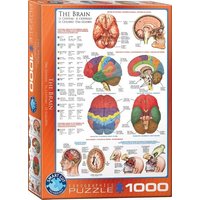Puzzle 1000 Teile - The Brain von Eurographics