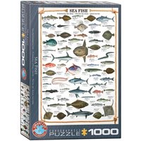 Eurographics 6000-0313 - Seefische, Puzzle, 1.000 Teile von Eurographics
