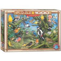 Eurographics 6000-0967 - Gartenvögel von Joahn Francis, Puzzle, 1.000 Teile von Eurographics