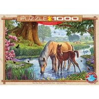 Eurographics 6000-0976 - Fell Ponies von Steve Crisp , Puzzle, 1.000 Teile Eurographics 6000-0976 - Fell Ponies von Steve Crisp , Puzzle, 1.000 Teile von Eurographics