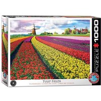 Eurographics 6000-5326 - Tulpenfelder Niederlande, Puzzle, 1.000 Teile Eurographics 6000-5326 - Tulpenfelder Niederlande, Puzzle, 1.000 Teile von Eurographics