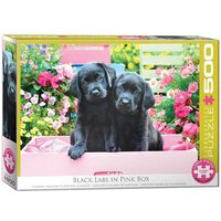 Eurographics 6500-5462 - Schwarze Labradore in einer rosa Schachtel, Puzzle, 500 Teile von Eurographics