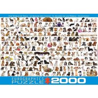 Eurographics 8220-0581 - Hundewelt, Puzzle, 2.000 Teile Eurographics 8220-0581 - Hundewelt, Puzzle, 2.000 Teile von Eurographics