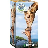 Eurographics 8251-0294 - Giraffenmutterkuss , Puzzle, 250 Teile Eurographics 8251-0294 - Giraffenmutterkuss , Puzzle, 250 Teile von Eurographics
