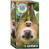 Eurographics 8251-5556 - Faultiere , Puzzle, 250 Teile Eurographics 8251-5556 - Faultiere , Puzzle, 250 Teile von Eurographics