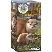 Eurographics 8251-5558 - Otter, Puzzle 250 Teile Eurographics 8251-5558 - Otter, Puzzle 250 Teile von Eurographics