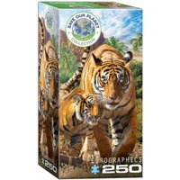 Eurographics 8251-5559 - Tiger, Puzzle, 250 Teile Eurographics 8251-5559 - Tiger, Puzzle, 250 Teile von Eurographics