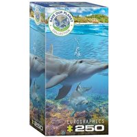 Eurographics 8251-5560 - Delfine , Puzzle, 250 Teile Eurographics 8251-5560 - Delfine , Puzzle, 250 Teile von Eurographics