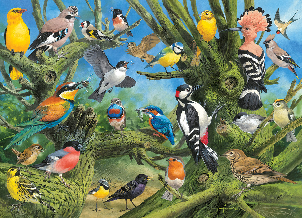 Eurographics Joahn Francis - Garden Birds 1000 Teile Puzzle Eurographics-6000-0967 Eurographics Joahn Francis - Garden Birds 1000 Teile Puzzle Eurographics-6000-0967 von Eurographics