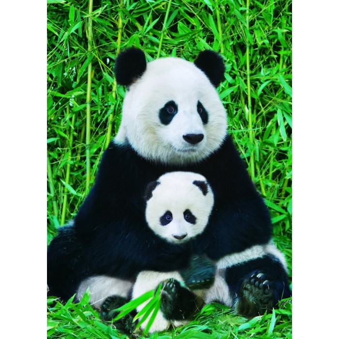 Eurographics Panda-Familie von Eurographics