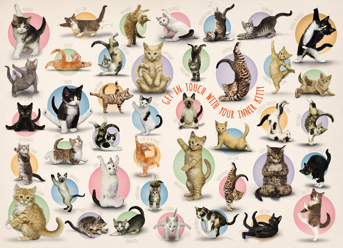 Eurographics XXL Teile - Familiy Puzzle: Yoga Kittens 500 Teile Puzzle Eurographics-6500-0991 Eurographics XXL Teile - Familiy Puzzle: Yoga Kittens 500 Teile Puzzle Eurographics-6500-0991 von Eurographics