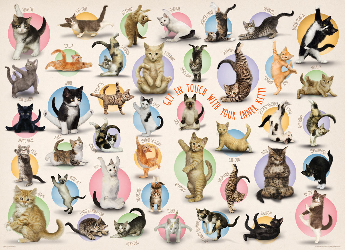 Eurographics XXL Teile - Familiy Puzzle: Yoga Kittens 500 Teile Puzzle Eurographics-6500-0991 Eurographics XXL Teile - Familiy Puzzle: Yoga Kittens 500 Teile Puzzle Eurographics-6500-0991 von Eurographics