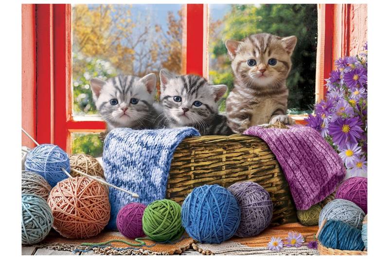 Eurographics XXL Teile - Knittin' Kittens 500 Teile Puzzle Eurographics-6500-5500 von Eurographics