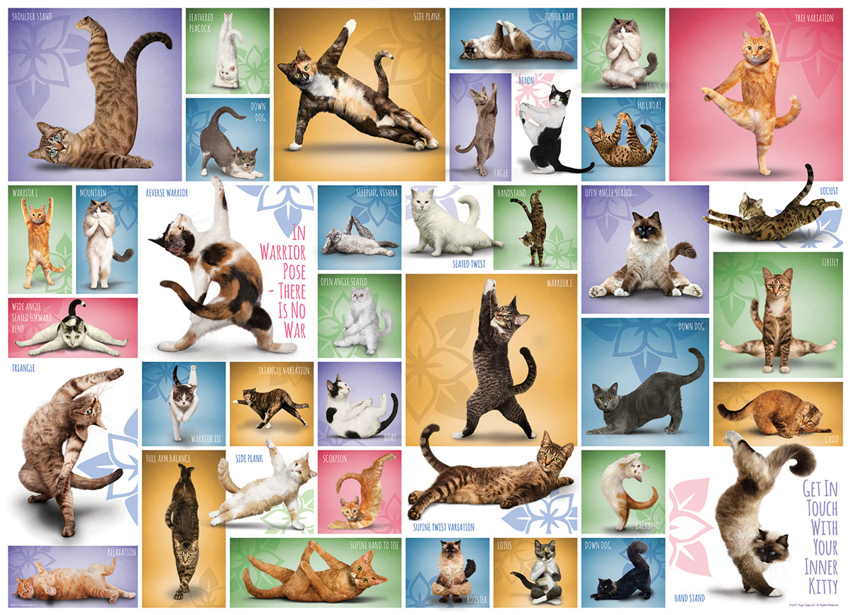 Eurographics Yoga Cats 1000 Teile Puzzle Eurographics-6000-0953 von Eurographics