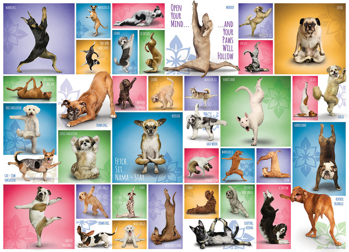 Eurographics Yoga Dogs 1000 Teile Puzzle Eurographics-6000-0954 von Eurographics