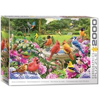 Gartenvögel Treffen von Eurographics