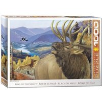 King of the Valley by Hayden Lambson King of the Valley by Hayden Lambson von Eurographics