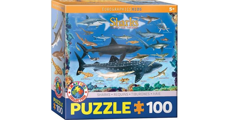 Puzzle Haie, 100 Teile von Eurographics
