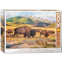 Roaming the Plains by Hayden Lambson Roaming the Plains by Hayden Lambson von Eurographics