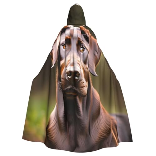 Evengigy Brauner Kapuzenumhang mit Labrador-Retriever-Aufdruck, für Damen, Herren, Erwachsene, vielseitiges Partykleid, Hexenumhang Evengigy Brauner Kapuzenumhang mit Labrador-Retriever-Aufdruck, für Damen, Herren, Erwachsene, vielseitiges Partykleid, Hexenumhang von Evengigy
