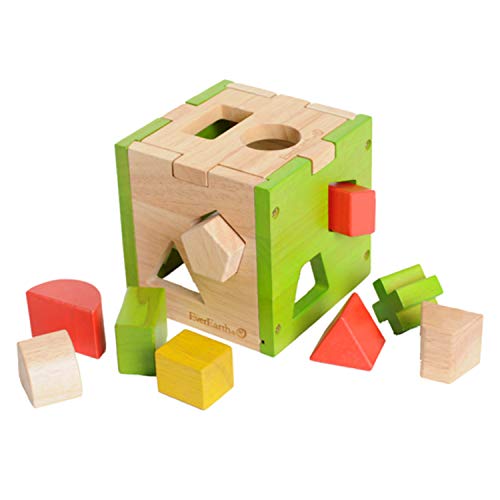 EverEarth Sortierwürfel aus nachhaltigem Holz – Motorikspielzeug mit bunten Steckformen – Umweltfreundliches Lernspiel für Kinder – EE32582 von EverEarth