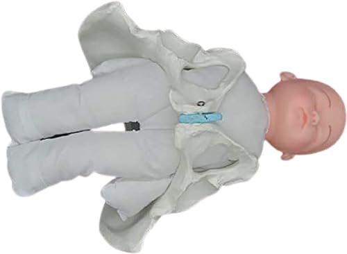 Menschliches weibliches Beckenmodell Geburt, Mini Weibliches Becken Baby Modell, Standard Geburt Simulator mit Modellen von Baby Becken - für Studie Display Lehre Medizinisches Modell von ExKaTe