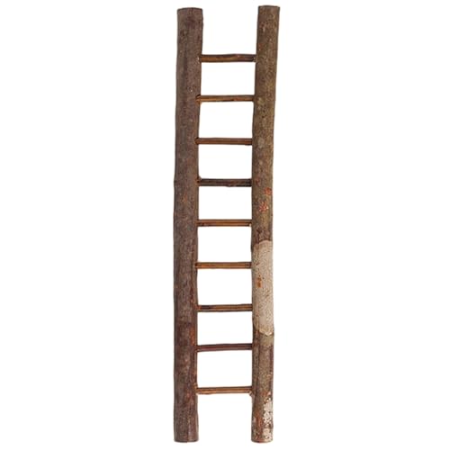 Eyccier 1pc Mini Leiter, 14x3, 4 Zoll Holzfee Gartenleiter, Miniaturen Kunstwerke Ornamente für Bar -Ladenfensterspielzeug von Eyccier