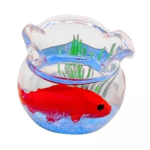 F Fityle 2 X 1:12 Puppenhaus Aquarium mit Fisch, Mini Simulationsfisch, Realistisches Miniatur Aquarium, Spielzeug, Ornamente, Dekoration, Zubehör, DIY F Fityle 2 X 1:12 Puppenhaus Aquarium mit Fisch, Mini Simulationsfisch, Realistisches Miniatur Aquarium, Spielzeug, Ornamente, Dekoration, Zubehör, DIY von F Fityle