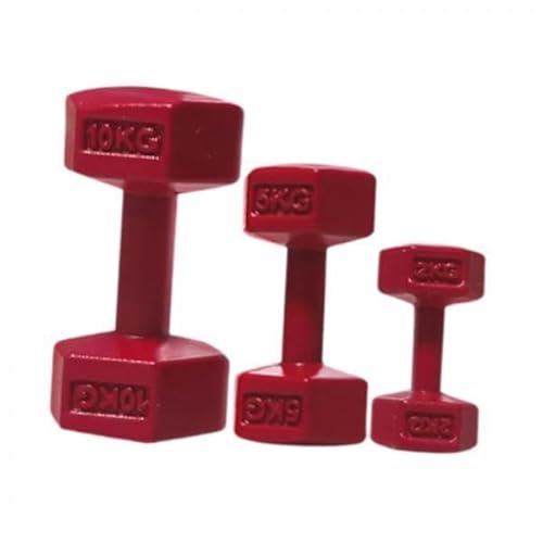 F Fityle 2X 3 Teiliges Sportspielset, Puppenhaus Hantel Sportzubehör, Puppenhaus Gymnastik Langhantel, Miniatur Kettlebell für Kinder F Fityle 2X 3 Teiliges Sportspielset, Puppenhaus Hantel Sportzubehör, Puppenhaus Gymnastik Langhantel, Miniatur Kettlebell für Kinder von F Fityle