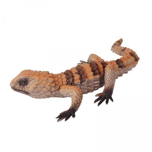 F Fityle 2X Mini N Figuren, Modell, Miniatur Tierspielzeug, Kuchendeckel, Geburtstagsgeschenk, Party Dekoration, Kollektion, Weiches Reptilienspielzeug F Fityle 2X Mini N Figuren, Modell, Miniatur Tierspielzeug, Kuchendeckel, Geburtstagsgeschenk, Party Dekoration, Kollektion, Weiches Reptilienspielzeug von F Fityle