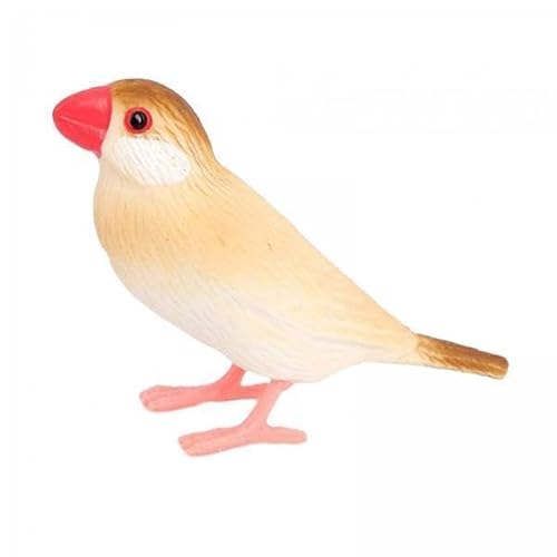 F Fityle 2X Vogelmodell Statue Frühe Bildung Wissenschaft Tiere Lernen Kinderspielzeug Dekoration für DIY Landschaftsbau Mikrolandschaft F Fityle 2X Vogelmodell Statue Frühe Bildung Wissenschaft Tiere Lernen Kinderspielzeug Dekoration für DIY Landschaftsbau Mikrolandschaft von F Fityle