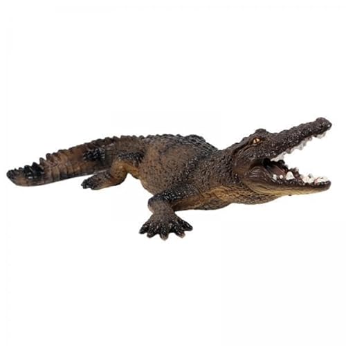 F Fityle 3X Simulation Krokodil Tier Figuren Desktop Dekoration Sammlung Realistische Tiere Modell für Kinder, Kuchen Topper Spielzeug, von F Fityle